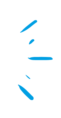 Trait retourné